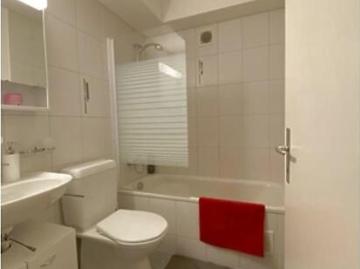 3½ Zimmer Wohnung in Wynau BE, möbliert, auf Zeit