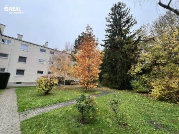 3 Zimmer Wohnung in Weidling im Bieterverfahren