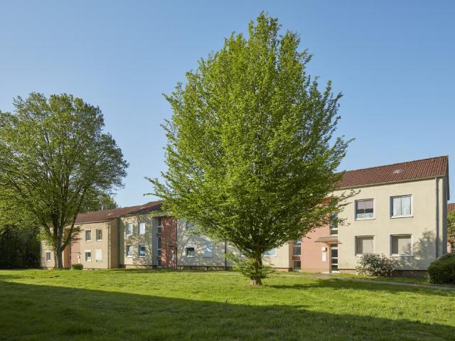 3 Zimmer Wohnung in Werne