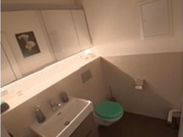3½ Zimmer Wohnung in Zürich Kreis 11 Affoltern, möbliert, auf Zeit