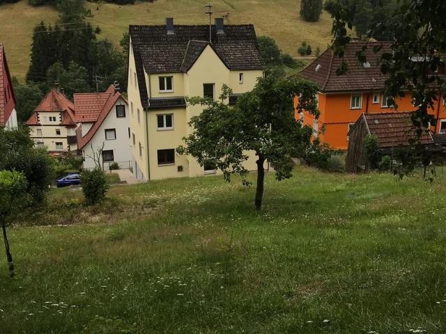 3 Zimmer Wohnung incl. Einbauküche