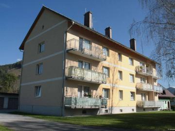 3 Zimmer Wohnung Top 4 in Altenmarkt bei St. Gallen zu vermieten!