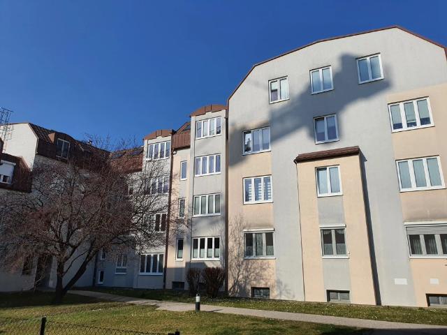 3 Zimmer Wohnung, Top 12