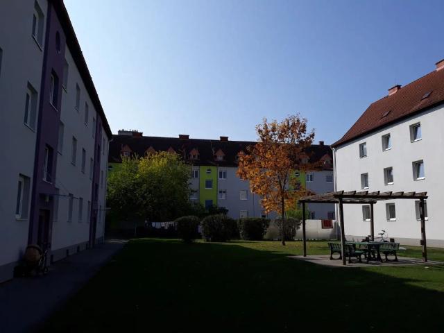 3 Zimmer Wohnung, Top 212