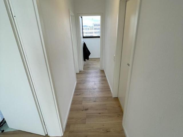3 zimmer Wohnung