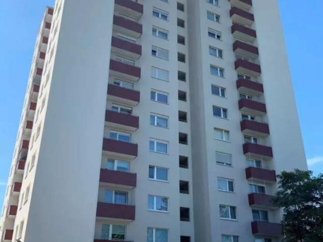 3 Zimmer Apartment