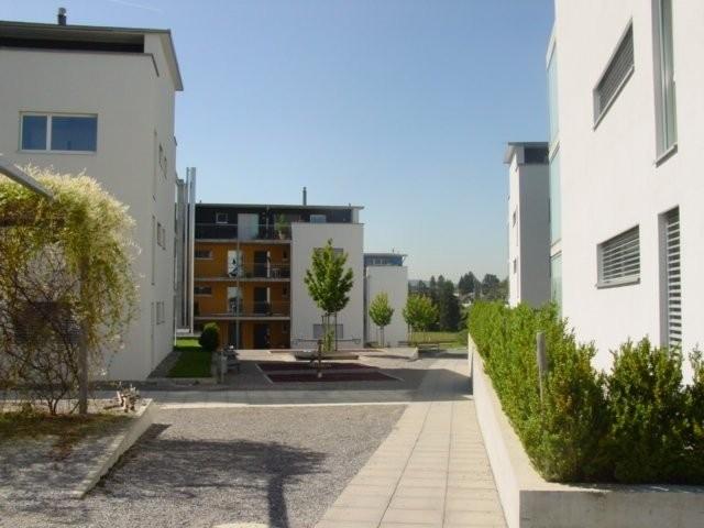 3 ½ Zimmer Attikawohnung in Brüttisellen mieten