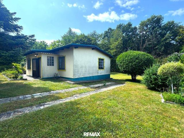 3 Zimmer Bungalow in der Waldrandsiedlung