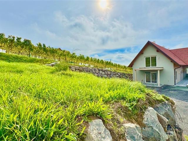 3 Zimmer Dachgeschosswohnung inmitten der Weinberge von Klöch Erstbezug!