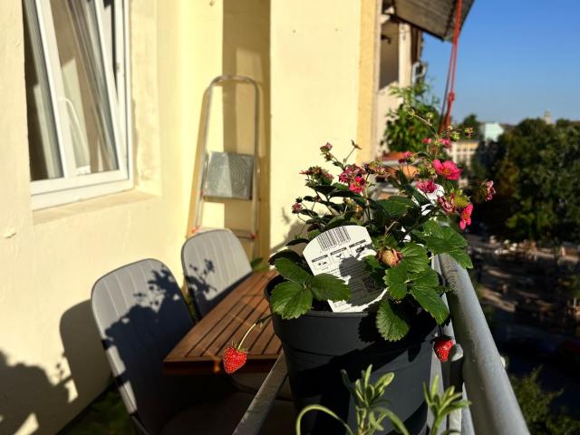 3 Zimmer Dachgeschosswohnungen mit wunderschönen Balkon, Berlin Amsterdam Apartments for Rent