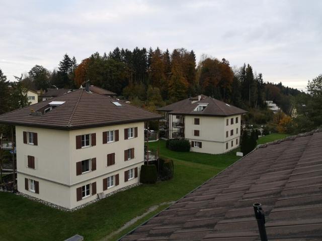 3 Zimmer Dachwohnung an ruhiger Lage