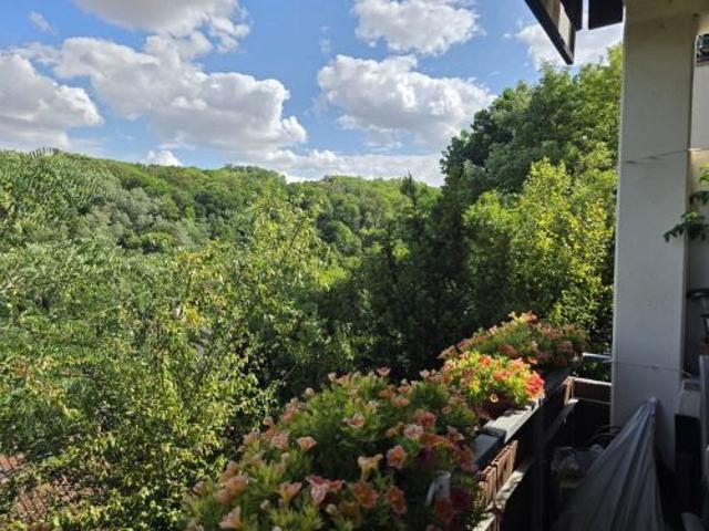 3 Zimmer Eigentumswohnung mit herrlichem Ausblick in 97199 Ochsenfurt Westsiedlung ID 10712
