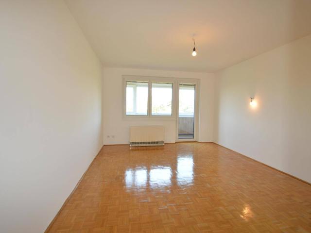 3 Zimmer Eigentumswohnung mit Park und Gloriette Blick