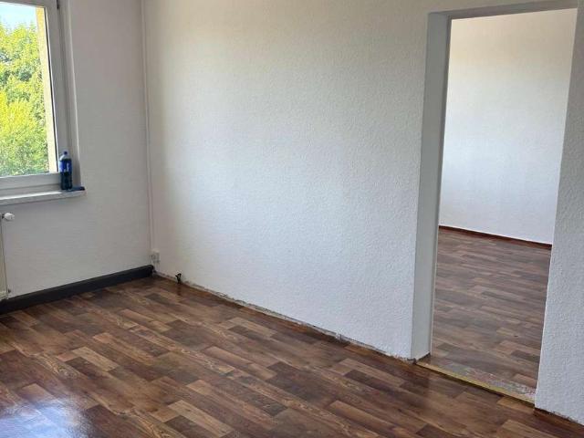 3 Zimmer Erdgeschoss Wohnung