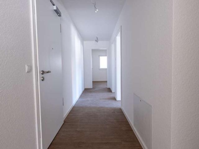 3 Zimmer Erdgeschosswohnung mit Terrasse