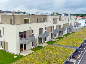 3 Zimmer Gartenwohnung in Zeillern