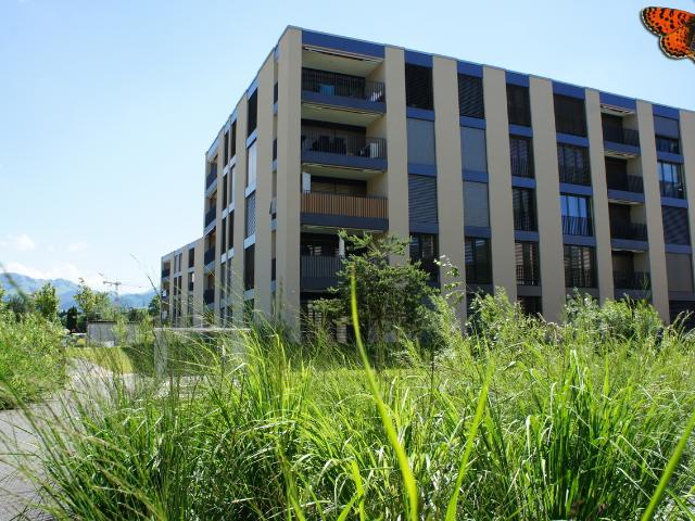 3 ½ ZIMMER IM ERDGESCHOSS – mit schöner Terrasse!