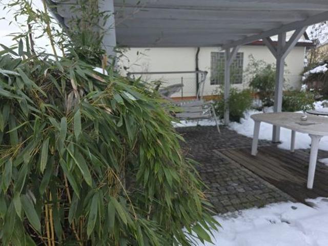 3 Zimmer Mietwohnung mit Stellplatz und Garage sowie Garten mit Freisitz und Teich sowie Wasserlauf in 97456 Sennfeld 1592