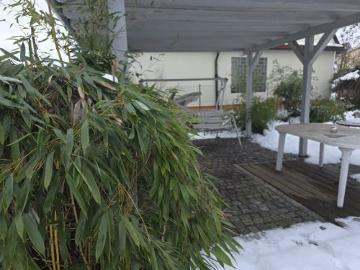 3 Zimmer Mietwohnung mit Stellplatz und Garage sowie Garten mit Freisitz und Teich sowie Wasserlauf in 97456 Sennfeld 1592