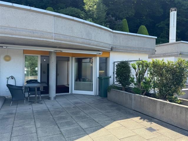 2.5 Zimmer Wohnung mit GROSSER TERRASSE !
