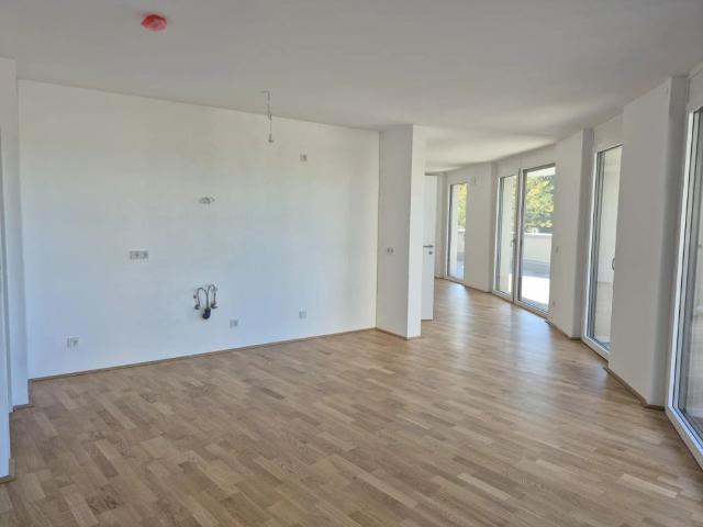 3 Zimmer mit großer Freifläche!
