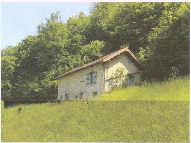 3 Zimmer Rustico zum Ausbauen mit grosser Wiesenfläche an sehr ruhiger, sonniger Aussichtslage / Rustico zum Renovieren mit grossem Rasenplatz