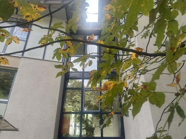 3 Zimmer, Südbalkon, Blick ins Grüne – Zirndorf an der Alten Veste