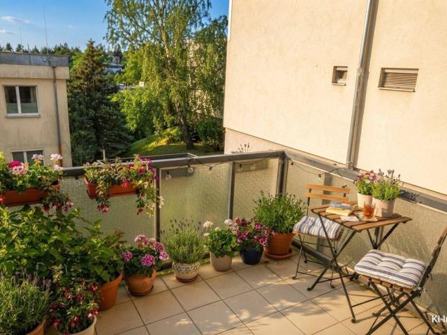 3 Zimmer, Südbalkon und ruhige Innenhoflage am Wilhelminenberg