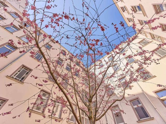 3 Zimmerwohnung 4.OG Nähe Humboldthain bezugsfrei provisionsfrei!
