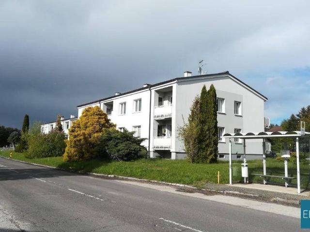 3 Zimmerwohnung im EG