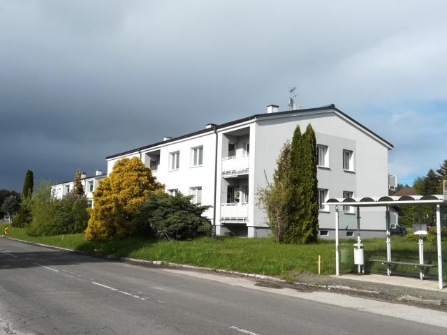 3 Zimmerwohnung im EG
