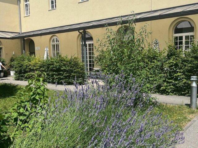 3 Zimmerwohnung mit ausgewählter Nachbarschaft in den historischen Dragonerhöfen Innenstadtnähe & Grünflächen! Ab sofort!