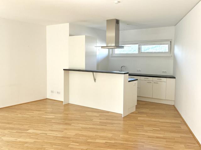 3 ZIMMERWOHNUNG MIT BALKON 1.MONAT MIETFREI 8020 GRAZ