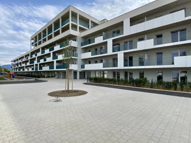 3 Zimmerwohnung mit Balkon