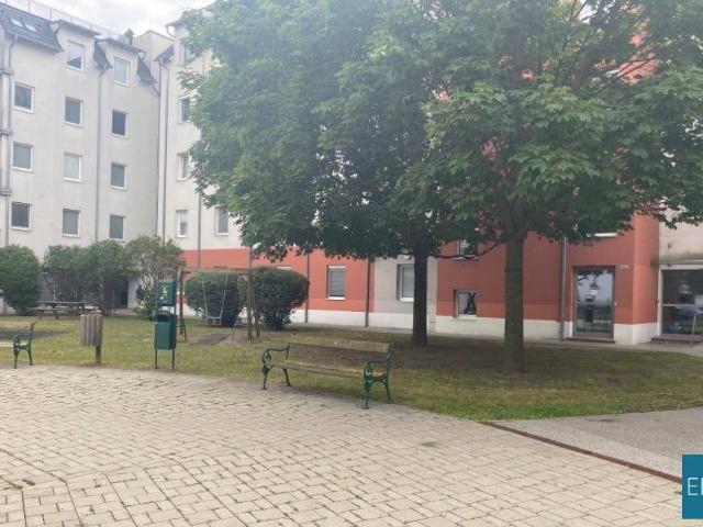 3 Zimmerwohnung mit Garten