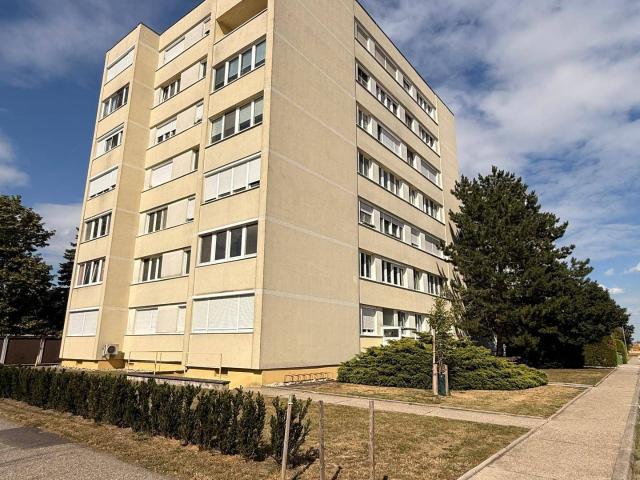 3 Zimmerwohnung mit Loggia und Lift um 144.640 Euro provisionsfrei im Grünen zu verkaufen 2285 Leopoldsdorf i. Marchfeld, NÖ