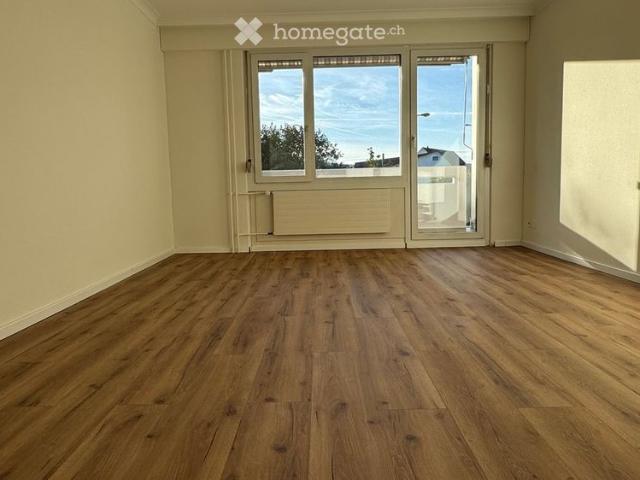 3 Zimmerwohnung mit Seesicht