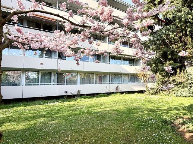 3 ZKB mit großem Südbalkon, Aufzug & Stellplatz in Heppenheim