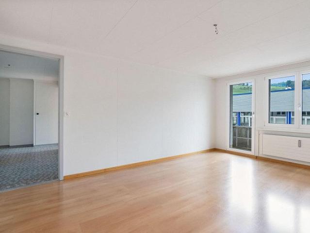 3.0 Zimmerwohnung in Heiden