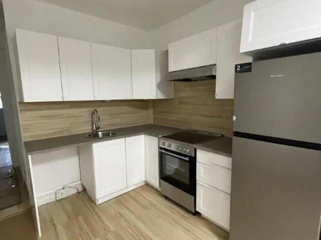 3 1/2 Montréal Centre Sud 1 200 $/mois