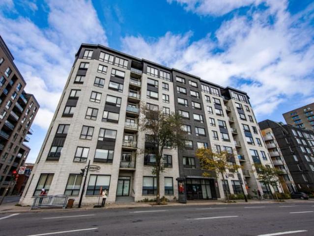3 1/2 Montréal Ville Marie Centre ville 1 500 $/mois