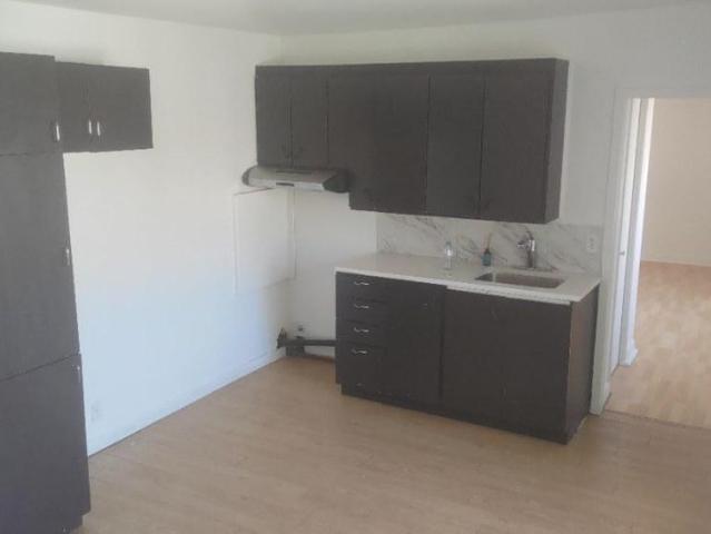 3 1/2 chauffer éclairer wefe inclus