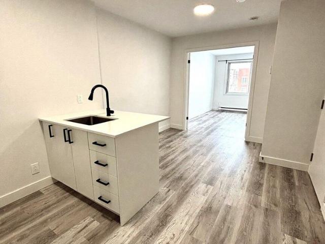 3 1/2 5576 Rue Saint Denis, Montréal