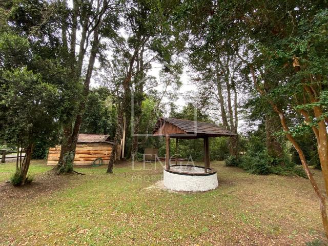 3,1 HA CON CABAÑA A 700M DE HALLAZGO ARQUEOLÓGICO MONTEVERDE
