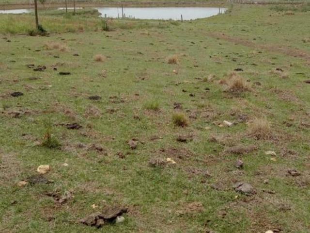 3.200 alqueire 3000 pés de uva,100 de pitaia, represa com peixe,casa 2 quarto,água da sabesp,excelen