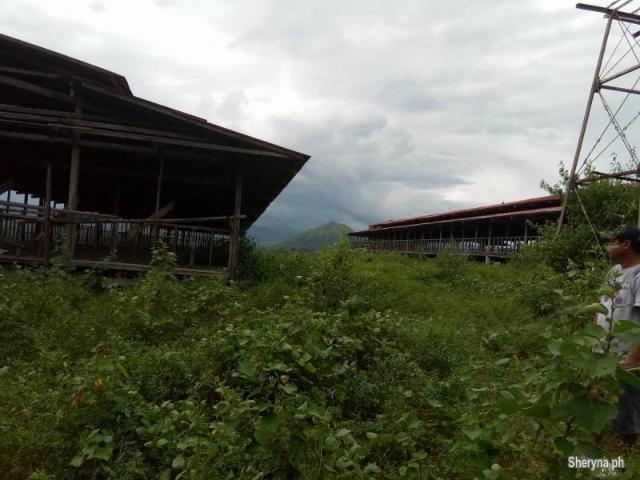 3. 2 hec San Jose, Tarlac NEAR CLARK GREEN CITY and Monasterio