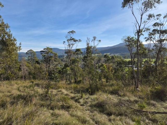 3.5 Acre Lifestyle Lot