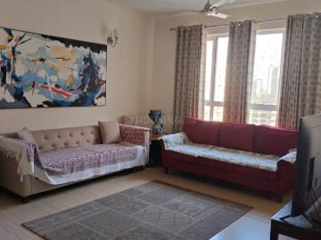 Sector 107, New Delhi, Delhi - Garden, Terrace