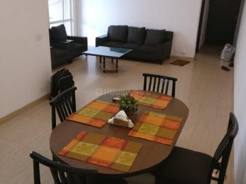 3.5 BHK Apartment in Sector 100 for rent Noida. The reference number is 20546097