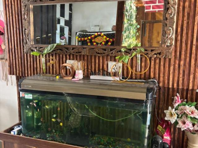 3.5 BHK Apartment in Sector 5 for resale Sohna. The reference number is 16152051